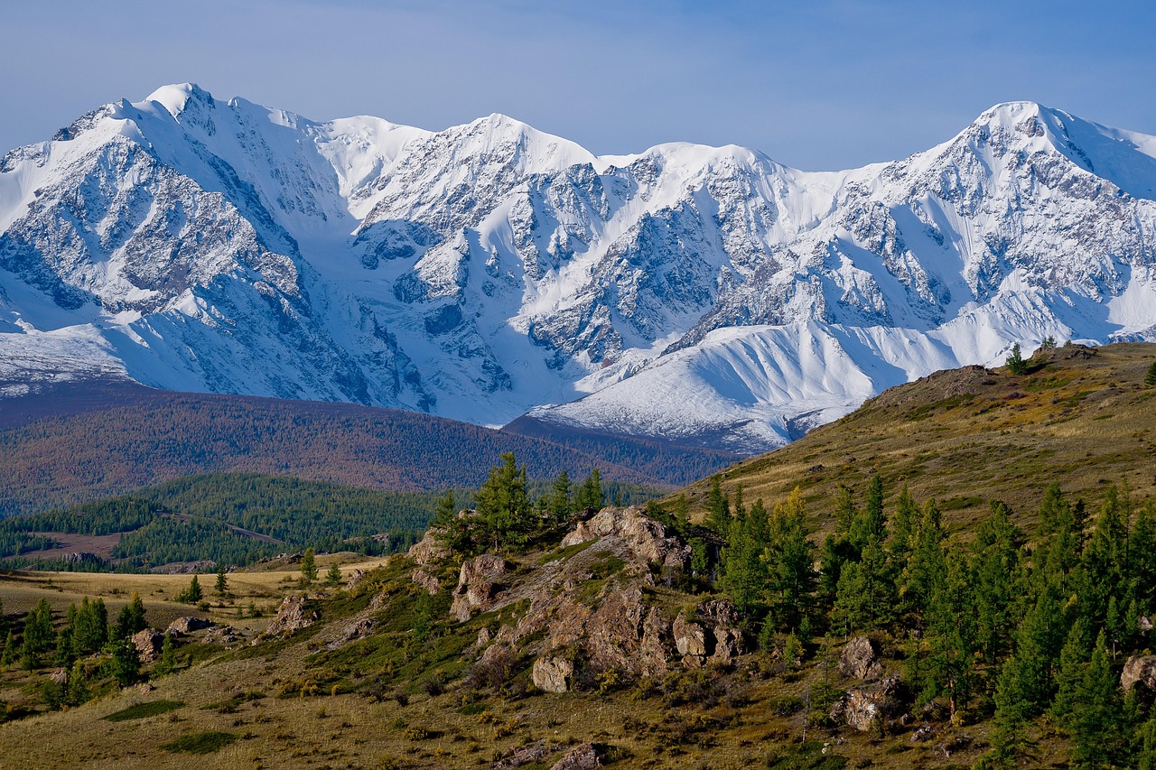 "Image by Анатолий Стафичук from Pixabay"